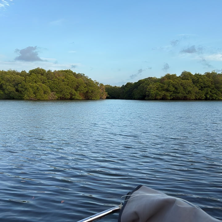 Open lagoon and mangroves seen from the bow of the safari boat at Wilpattu