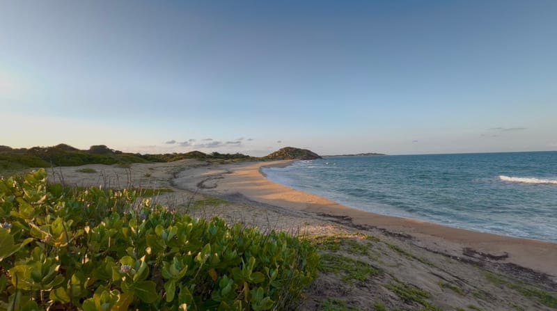 A quiet curve of beach and dunes at golden hour