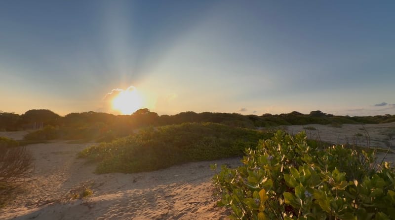 The sun setting over the sand dunes