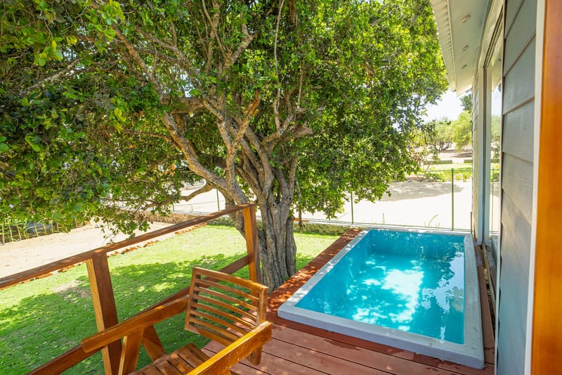 The private plunge pool on the deck, shaded by a tree