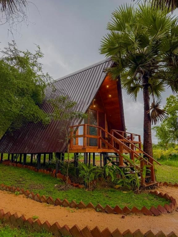The A-frame wooden villa at Wilpattu, raised on stilts beside a palm