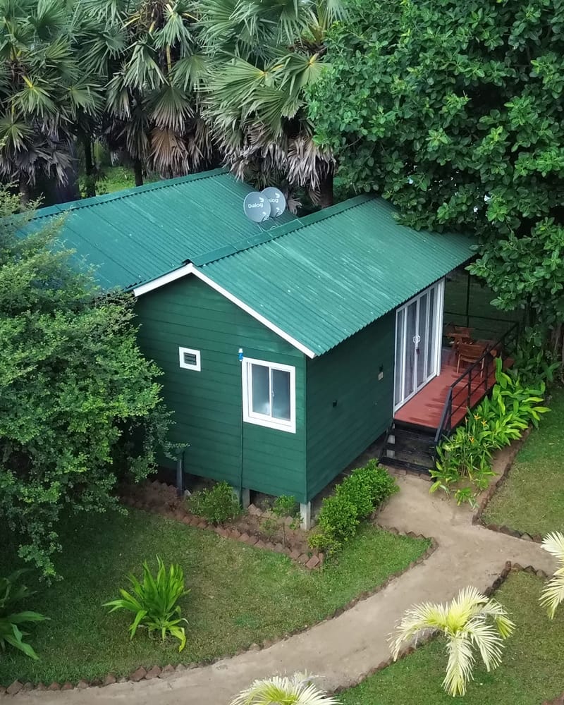 The green timber cabin at Leopard Inn Wilpattu among palms and trees, seen from above